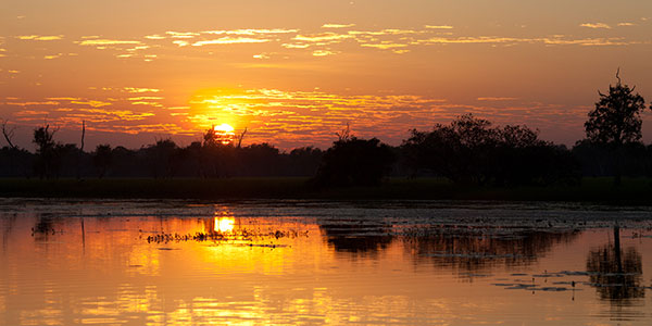 Top 5 experiences in kakadu national park